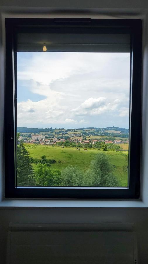 Appartamento L'Ecrin De Saint Genest Lerpt - Belle Vue Et Calme Esterno foto